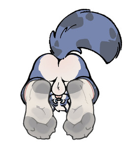 anthro backsack balls butt clothing feet foot_focus footwear fur genitals looking_at_viewer looking_back looking_through looking_through_legs male multicolored_body multicolored_fur penis presenting presenting_hindquarters socks solo tail backboned_(artist) canid canine canis mammal