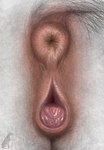 anatomically_correct anatomically_correct_genitalia anatomically_correct_pussy animal_genitalia animal_pussy anus butt clitoral_winking clitoris close-up equine_anus equine_genitalia equine_pussy feces female feral fur genital_close-up genitals puffy_anus pussy pussy_close-up realistic_feral solo white_body white_fur darkmare equid equine horse mammal