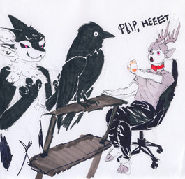 3_fingers 4_ears 5_fingers ambiguous_gender anthro antlers asking_to_stop avian_feet beak begging_to_stop biped bipedal_feral black_body black_bottomwear black_clothing black_feathers black_fur black_jeans black_pants black_sclera bottomwear chair chest_tuft claws clothed clothing collar denim denim_bottomwear denim_clothing desk feathers feet feral fingers fur furniture grey_clothing grey_hair grey_shirt grey_topwear grin group hair hooves horn imminent_grab jeans male multi_ear neck_tuft nooooo nude office_chair on_chair open_mouth pants pawpads perching purple_eyes red_collar red_eyes screaming shirt simple_background sitting sitting_on_chair size_difference smaller_feral smile smug standing table talons text toes tongue topwear trio tuft white_background white_body white_feathers white_fur wings hilyasp felix_(jackdaw) fyr_(fenrir784) gooddeer avali avian bird corvid deer jackdaw mammal new_world_deer oscine passerine reindeer 2025 colored guide_lines hi_res marker_(artwork) mixed_media pen_(artwork) russian_text sketch spot_color traditional_media_(artwork) translated