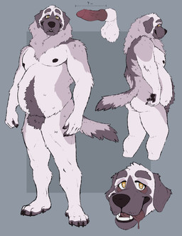 animal_genitalia anthro balls erection fur genitals grey_body grey_fur hybrid_genitalia hybrid_penis knot knotted_penis looking_at_viewer male male_anthro nipples nude nude_anthro nude_male open_mouth open_smile overweight overweight_anthro overweight_male penis pink_penis sheath side_view smile solo standing tail teeth tongue tongue_out yellow_eyes labradorszn canid canine canis domestic_dog mammal mastiff molosser spanish_mastiff 2022 headshot_portrait hi_res model_sheet portrait