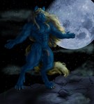 anthro balls blonde_hair blue_body blue_fur casual_nudity claws digitigrade full_moon fur genitals hair male moon muscular night nude outstretched_arm penis retracted_penis saggy_balls solo tail yellow_eyes yellow_tail sudonym canid canine canis mammal wolf 2002