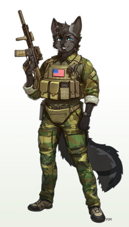 american_flag anthro assault_rifle black_body black_fur blue_eyes bulletproof_vest camo clock clothing eyebrows forward_grip fur gloves gun handwear inner_ear_fluff looking_at_viewer male mk18 ranged_weapon rifle scope smile solo tuft uniform united_states_of_america watch weapon wristwatch pgm300 canid mammal 2023 absurd_res hi_res