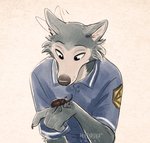 anthro cheek_tuft clothed clothing duo facial_tuft fur grey_body grey_fur male shirt simple_background tan_background topwear tuft multyashka-sweet beastars legoshi_(beastars) arthropod beetle canid canine canis insect mammal rhinoceros_beetle scarabaeid wolf 2020