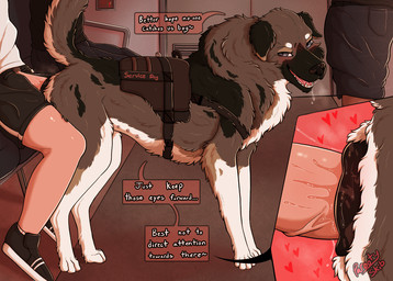animal_genitalia animal_vulva arm_tuft bestiality blush blush_lines bodily_fluids canine_genitalia canine_vulva cheek_tuft close-up dialogue duo elbow_tuft erection faceless_character faceless_human faceless_male facial_tuft female female_feral female_focus female_penetrated feral feral_focus feral_penetrated fluffy fluffy_tail genital_fluids genitals heart_symbol human_on_feral human_penetrating human_penetrating_feral interspecies looking_back male male/female male_human male_on_feral male_penetrating male_penetrating_female neck_tuft nipples penetration penile penile_penetration penis penis_in_vagina public public_sex public_transportation quadruped raised_tail rapid_transit risky_sex service_animal service_dog_harness sex side_view size_difference smaller_penetrated solo_focus stealth_sex subway tail talking_feral teasing text tuft vaginal vaginal_penetration vulva parooty australian_shepherd canid canine canis domestic_dog herding_dog human mammal pastoral_dog sheepdog english_text