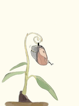 ambiguous_form ambiguous_gender black_body brown_wings chrysalis dirt eyespots insect_wings leaf lepidopteran_wings markings motion_lines shaking solo transformation trembling wings radically_napping disney hoppers_(disney) pixar titus_(hoppers) arthropod butterfly insect lepidopteran official_art sequence