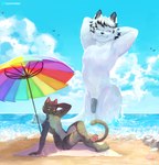 anthro beach beach_towel beach_umbrella cloud duo extreme_size_difference feet fur genitals hair macro male nude nude_anthro nude_male outside parasol pawpads paws penis sand sea seashell seaside shell size_difference sky smile stretching tail towel umbrella water wave teamfurtress domestic_cat felid feline felis mammal