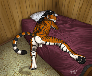 anthro athletic athletic_anthro athletic_male backsack balls bed bed_frame bed_sheet bedding bedroom black_hair butt carpet feet foot_focus furniture genitals hair leg_on_bed long_hair looking_back male nude nude_anthro nude_male pawpads pillow ponytail pose posing_for_picture presenting presenting_balls presenting_hindquarters raised_tail seductive shadow smile solo spread_legs spreading tail wall_(structure) wood wood_wall gaikotsu felid mammal pantherine tiger 2025 6:5 draw_over hi_res photo_manipulation signature