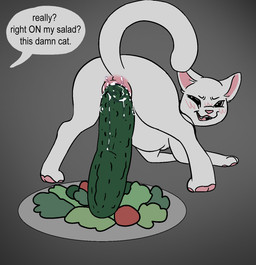 ambiguous_feral ambiguous_gender anal anal_masturbation anal_penetration ass_up bestiality blush blush_lines cucumber cucumber_in_ass feral food food_fetish food_in_ass food_insertion food_play fruit fur gradient_background humor improvised_sex_toy lube_in_ass masturbation mischievous_smile offscreen_character pawpads penetration pink_nose plant quadruped riding_toy salad simple_background solo speech_bubble taunting teeth text white_body white_fur white_speech_bubble y0urd3sir3 woman_yelling_at_a_cat domestic_cat felid feline felis mammal english_description english_text hi_res meme