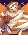 anthro belly blush bodily_fluids brown_body brown_fur clothing costume fur halloween_costume holidays humanoid_hands kemono male moobs mummy_costume mummy_wrappings overweight overweight_male solo tears boar_stag144 halloween bear mammal 2022 absurd_res hi_res