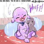 anthro baby balls black_eyebrows black_nose blue_scarf blush blush_lines blush_stickers bodily_fluids cum cum_everywhere cum_on_body cum_on_face cum_on_head cum_on_self ears_down ejaculation excessive_cum excessive_genital_fluids eyebrows eyes_closed feet feet_up fur genital_fluids genitals hooved_toes hooves humanoid_genitalia humanoid_penis male masturbation messy moan navel nipples nude nude_anthro nude_male object_in_mouth orgasm pacifier pacifier_in_mouth penis perineum pillow pink_pacifier pivoted_ears plushie purple_body purple_fur purple_tail scarf soles solo tail teddy_bear text toddler young young_anthro young_male pedrohspacewolfy deer mammal 2021 digital_media_(artwork) pixel_(artwork)