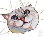 ambiguous_gender blue_eyes fangs feral front_view fur glistening glistening_eyes inner_ear_fluff mouth_closed pink_inner_ear red_nose simple_background solo teeth tuft whiskers white_background white_body white_fur white_inner_ear_fluff blackscour domestic_cat felid feline felis mammal hi_res