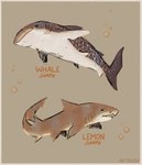 ambiguous_gender border bubble countershade_torso countershading duo feral fin gills markings open_mouth spots spotted_body tail teeth text riftskeen carpet_shark fish lemon_shark marine requiem_shark shark whale_shark 2020 english_text hi_res restricted_palette species_name warm_colors