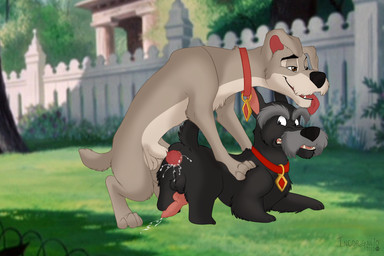 anal anal_penetration animal_genitalia anus balls canine collar cum disney dog duo erection feral fur incorgnito knot lady_and_the_tramp male male/male mammal paws penetration penis scottie tongue tongue_out tramp
Rating: Explicit
Score: 5
User: paradoxkangaroo
Date: February 07, 2015 anal anal_penetration animal_genitalia anus balls canine collar cum disney dog duo erection feral fur incorgnito knot lady_and_the_tramp male male/male mammal paws penetration penis scottie tongue tongue_out tramp
Rating: Explicit
Score: 5
User: paradoxkangaroo
Date: February 07, 2015