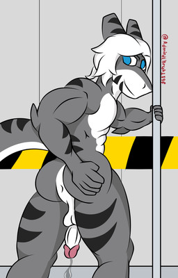 abs anthro anus balls biceps blue_eyes bodily_fluids genital_fluids genitals hair looking_at_viewer male multicolored_body muscular muscular_male pecs penis pole precum presenting presenting_anus solo striped_body stripes stripper_pole white_hair admiralgus1897 changed_(video_game) tiger_shark_(changed) aquatic fish shark hi_res