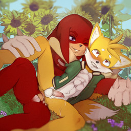 ahegao anal anal_penetration anthro anthro_on_anthro anthro_penetrated anthro_penetrating anthro_penetrating_anthro balls bite biting_lip bodily_fluids clothing cum duo erection flower fur genital_fluids genitals gloves handwear heart_eyes heart_symbol jacket looking_pleasured looking_up male male/male male_penetrated male_penetrating male_penetrating_male multi_tail nature nature_background nipples one_eye_closed penetration penile penis plant purple_eyes sex tail topwear 1183 sega sonic_the_hedgehog_(series) knuckles_the_echidna miles_prower canid canine echidna fox mammal monotreme 1:1 hi_res