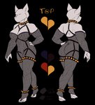 alternate_form anthro armband bottomwear clothing female female_anthro fishnet_clothing hoodie scarf shorts simple_background solo spiked_armband spikes streetwear topwear smolsusie mythology soules_(character) canid canine canis dragon hybrid mammal mythological_creature mythological_scalie scalie wolf alpha_channel digital_drawing_(artwork) digital_media_(artwork) hi_res model_sheet