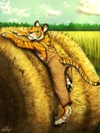 adolescent anthro barefoot clothed clothing feet male outside overalls pawpads paws solo toes young vellum mikhail_(character) felid mammal pantherine tiger 3:4 hi_res