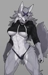 abs anthro big_breasts black_clothing black_panties black_sclera black_underwear breasts choker clothing cropped_hoodie cropped_jacket cropped_topwear crotch_tuft female fur grey_body grey_fur head_markings hip_tuft hoodie inner_ear_fluff jewelry looking_at_viewer markings muscular muscular_female navel necklace panties solo topwear tuft under_boob underwear white_body white_eyes white_fur pgm300 wachhund_(washlet_mskm) canid canine canis mammal wolf 2023 hi_res