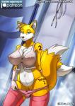 anthro big_breasts blue_eyes breasts clothing crossgender female genitals gloves handwear legwear lingerie machine mervas mtf_crossgender navel nipples panties pussy solo stockings translucent translucent_clothing underwear wire libra-11 sega sonic_the_hedgehog_(series) miles_prower android canid canine fox gpd_(lurdanjo) mammal robot 2018 digital_media_(artwork) hi_res