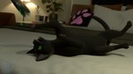 ambiguous_gender bedroom black_body black_fur cat_toy feral fur green_eyes lying on_back open_mouth playful playing playing_with_toys solo tail teeth whiskers firedorn blender_cycles little_kitty_big_city little_kitty_(lkbc) domestic_cat felid feline felis mammal 16:9 2025 3d_(artwork) blender_(artwork) digital_media_(artwork) hi_res signature widescreen