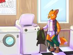 3_toes anthro appliance barefoot bottomwear briefs bulge canid canine cheese_grater clothed clothing digitigrade dress_shirt drjoshfox feet fox hand_in_pants hi_res jacket laundromat laundry laundry_machine male mammal mr._tod_(character) pants partially_clothed peter_rabbit_(series) shirt soap solo suspenders tighty_whities toes topwear underwear vest washing_machine white_briefs white_clothing white_underwear window