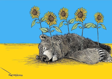 ambiguous_gender blue_background brown_body brown_fur claws corpse feral flower fur lying on_side plant political_cartoon politics russia russian russian_federation simple_background solo sunflower text ukraine ukrainian ukrainian_flag war yellow_background kianoush russo-ukrainian_war bear mammal 2022 artist_name