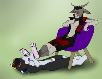 anthro antlers black_hair bottomwear chair chastity_cage chastity_cage_only chastity_device chastity_device_only clothing electronics eye_scar facial_scar feet focused foot_fetish foot_focus foot_lick foot_play full_pad fur furniture grey_body grey_fur hair horn licking lock male male/male multicolored_hair neck_tuft nude orange_eyes padlock paws phone purple_eyes rainbow_hair scar shorts tongue tongue_out topwear tuft uniform vest wearing_chastity_cage wearing_chastity_device nx-42 pasterz canid canine cervine deer fox mammal absurd_res hi_res