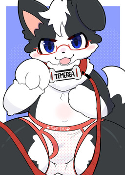 :3 anthro black_body black_fur black_nose blue_eyes briefs bulge clothing collar cute_fangs dipstick_tail eyewear fangs front_view fur glasses hair kemono leash leashed_collar male markings monotone_hair multicolored_body multicolored_fur navel pink_tongue red_collar red_leash short_hair sitting solo spread_legs spreading tail tail_markings teeth tongue tongue_out two_tone_body two_tone_fur underwear wearing_glasses white_body white_fur white_hair young young_male mujimuji1010 border_collie canid canine canis collie domestic_dog herding_dog mammal pastoral_dog sheepdog absurd_res cel_shading colored digital_drawing_(artwork) digital_media_(artwork) hi_res shaded