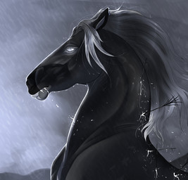 ambiguous_gender arrow_(weapon) black_body bodily_fluids drooling feral grey_eyes grey_mane mane mouth_closed outside pupils raining ranged_weapon saliva side_view solo weapon wet wet_body white_pupils wounded huskii-s equid equine horse mammal hi_res