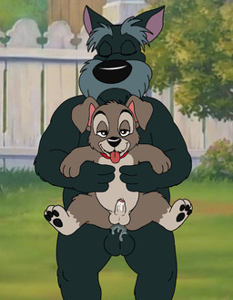 age_difference anal anal_orgasm anal_penetration anthro anthro_on_anthro anthro_penetrated anthro_penetrating anthro_penetrating_anthro anthrofied balls bodily_fluids cum cum_in_ass cum_inside cum_while_penetrated cumshot duo ejaculation erection eyes_closed foreskin genital_fluids genitals half-closed_eyes hands-free humanoid_genitalia humanoid_penis larger_male looking_at_viewer looking_pleasured male male/male male_on_bottom male_on_top male_penetrated male_penetrating male_penetrating_male narrowed_eyes nude older_male on_bottom on_top orgasm orgasm_face partially_retracted_foreskin penetration penile penile_penetration penis penis_in_ass reverse_stand_and_carry_position sex shota simultaneous_orgasms size_difference smaller_male smaller_on_top smaller_penetrated spread_legs spreading standing standing_sex tongue tongue_out young young_anthro young_male younger_male younger_penetrated unclejock disney lady_and_the_tramp jock_(lady_and_the_tramp) scamp_(lady_and_the_tramp) canid canine canis domestic_dog hunting_dog mammal mixed_breed schnauzer scottish_terrier terrier