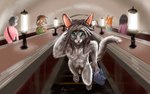 anthro bottomwear clothing escalator flaccid genitals hair holding_clothing holding_object inside looking_at_viewer male nude pants penis public public_nudity shirt solo topwear dimasbka domestic_cat felid feline felis mammal hi_res