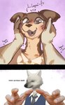 anthro clothed clothing duo female fur hand_on_head heart_symbol humor male open_mouth real simple_background text xurora beastars dogelore cheems juno_(beastars) legoshi_(beastars) canid canine canis mammal wolf 2021 english_text meme