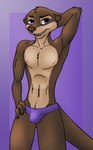 abs anthro athletic body_hair bulge clothing hand_behind_head happy_trail looking_at_viewer male nipples pose purple_eyes shirtless simple_background smile solo speedo swimwear dizzyvixen juniper_(dizzyvixen) mammal mustelid otter hi_res pinup