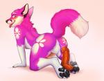 all_fours anthro anus backsack balls bodily_fluids butt canid canine cum cum_inside cum_on_feet cum_string dildo feet femboy fox fur genital_fluids genitals kneeling looking_at_viewer looking_back male mammal pawpads paws pink_body pink_fur sex_toy soles solo tiger_blueberry tongue tongue_out toy