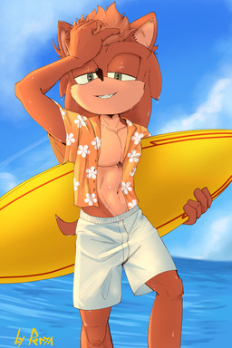 anthro beach male solo surfboard r3gu1u5 sega sonic_the_hedgehog_(series) fan_character eulipotyphlan hedgehog mammal 2:3 absurd_res hi_res