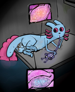 ambiguous_gender anal anal_vore anthro anthro_pred anus belly blue_body blue_tail endosoma feral full_tour group guts inside_intestines inside_stomach intestines organs purple_eyes safe_vore tail tail_in_mouth vore endoscopebrain rain_world videocult rivulet_(rain_world) amphibian aquatic lantern_mouse_(rain_world) mammal mole_salamander mouse murid murine rodent salamander slugcat 2026 hi_res