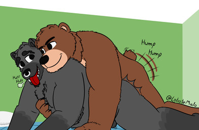 anal anal_penetration anthro anthro_on_anthro anthro_penetrated anthro_penetrating anthro_penetrating_anthro breath brown_body brown_fur chest_tuft doggystyle duo facial_hair from_behind_position fur goatee grabbing_from_behind grey_body grey_fur humping male male/male male_penetrated male_penetrating male_penetrating_male nude panting penetration penile penile_penetration piercing ring_piercing sex simple_background smile tail text tuft eemwolf eem_(eemwolf) han_(hanbrr) bear canid canine canis mammal ursine wolf absurd_res digital_media_(artwork) hi_res