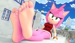 5_toes anthro bangle breasts countershade_feet countershading feet female foot_focus fur green_eyes humanoid_feet jewelry looking_at_viewer pink_body pink_fur plantigrade sitting soles solo toes oda_arts sega sonic_the_hedgehog_(series) amy_rose eulipotyphlan hedgehog mammal 2025 3d_(artwork) digital_media_(artwork) hi_res