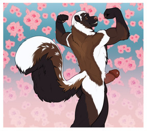 anthro back_muscles balls black_body black_fur border brown_body brown_fur erection flexing flexing_bicep flexing_both_biceps fluffy fluffy_tail fur genitals hair humanoid_genitalia humanoid_penis looking_at_viewer male male_anthro muscular muscular_anthro muscular_male nude nude_anthro nude_male penis simple_background smile solo tail teeth whiskers white_body white_border white_fur white_hair homogenousrule roberto_(thetamule) mammal mephitid skunk 2024 hi_res