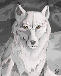 amber_eyes ambiguous_gender feral fur monotone_body monotone_fur snow solo white_body white_fur winter wolfdawg ember_(emberwolfsart) canid canine canis mammal wolf 2017 half-length_portrait hi_res portrait restricted_palette