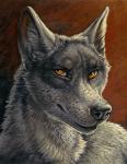 abstract_background ambiguous_gender anthro black_lips black_nose close-up fur grey_body grey_fur inner_ear_fluff lips long_mouth looking_at_viewer looking_up simple_background smile smirk snout solo tuft yellow_eyes rukis luther_denholme canid canine canis mammal wolf 2014 bust_portrait portrait traditional_media_(artwork)