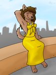 anthro black_nose blush brown_body brown_fur brown_hair clothed clothing dress female fur gold_(metal) hair sitting solo alan_foreman freefall_(webcomic) florence_ambrose bowman's_wolf canid canine canis mammal red_wolf wolf 2008