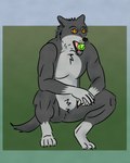 anthro ball claws countershading digitigrade fluffy grey_body happy male simple_background solo tennis_ball white_paws yellow_eyes sylvestrix mythology canid canine canis mammal mythological_canine mythological_creature werecanid werecanine werecreature werewolf wolf absurd_res hi_res