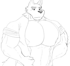 5_fingers anthro barazoku big_muscles big_pecs clothing fingers huge_muscles huge_pecs hyper hyper_muscles hyper_pecs male musclegut muscular nipples pecs solo undressing remorselesssinner albert_schmidth_(remorselesssinner) canid canine canis domestic_dog german_shepherd herding_dog mammal pastoral_dog hi_res monochrome