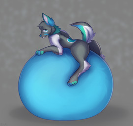 4_toes anthro belly big_belly blue_eyes blue_nose butt feet fur grey_background grey_body grey_fur huge_belly hyper hyper_belly hyper_inflation immobile inflation inner_ear_fluff looking_at_viewer lying_on_self male multicolored_body multicolored_fur resting_on_belly simple_background solo toes tuft white_inner_ear_fluff akushark canid canine mammal hi_res shaded