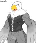 abs anthro beak biped blush bottomless clothed clothing feathers grey_body male muscular muscular_anthro muscular_male open_mouth pecs solo standing tongue white_body kemo_nuko animal_crossing nintendo apollo_(animal_crossing) accipitrid accipitriform avian bald_eagle bird eagle sea_eagle low_res