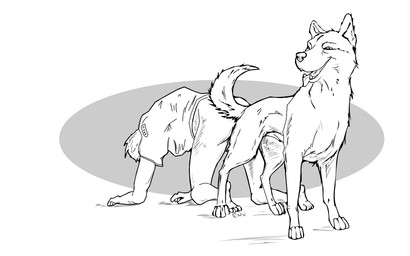 anal anal_knotting anal_penetration ass_to_ass bestiality butt clothing duo feral feral_penetrating feral_penetrating_human fur human_on_feral human_penetrated interspecies jacket knotting male male/male male_penetrated male_penetrating male_penetrating_male pain paws penetration quadruped sex tail tongue topwear unknown_artist canid canine canis domestic_dog human mammal 16:10 monochrome widescreen