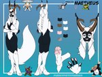 anthro female solo furrypotato maetheus_castillon amphibian frog pseudoflynx 4:3 absurd_res hi_res meme model_sheet signature