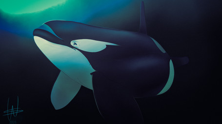 ambiguous_feral ambiguous_gender belly big_belly black_body blue_eyes blue_markings dorsal_fin feral fin logo markings multicolored_body pectoral_fin solo two_tone_body underwater water white_body year wesphin yano_(dolphinproject) aquatic cetacean dolphin mammal oceanic_dolphin orca toothed_whale 2023 artist_logo dated hi_res female_(lore)
