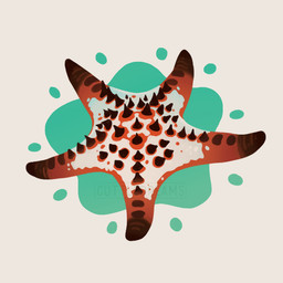 5_limbs ambiguous_gender black_spikes feral multi_limb orange_body red_body simple_background solo spikes spikes_(anatomy) splash spots white_background white_body cuttledreams aquatic asterozoan echinoderm horned_starfish starfish 1:1 digital_drawing_(artwork) digital_media_(artwork) watermark